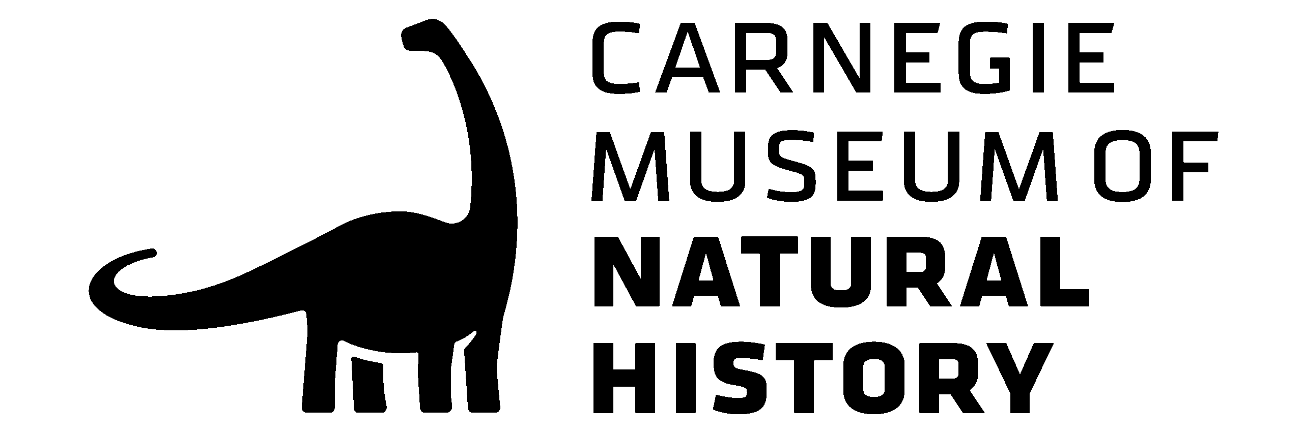 A silhouette of a person sits cross-legged in meditation, hands resting on their knees and palms facing upward—a serene image reflecting the mindful philosophy of Who We Are Flying Fish.